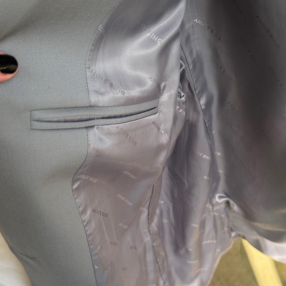 Anine Bing Quinn Gray Blazer - Picture 8 of 10